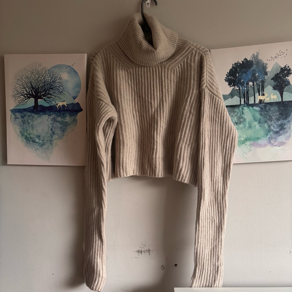 H&M Cashmere Wool Blend Chunky Turtleneck Beige Sweater - Large